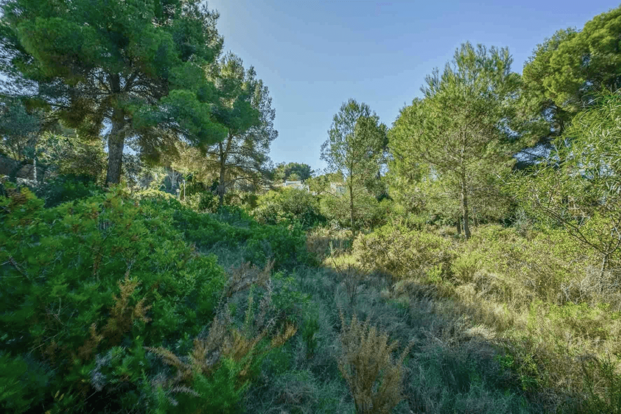 Land til salg i Javea