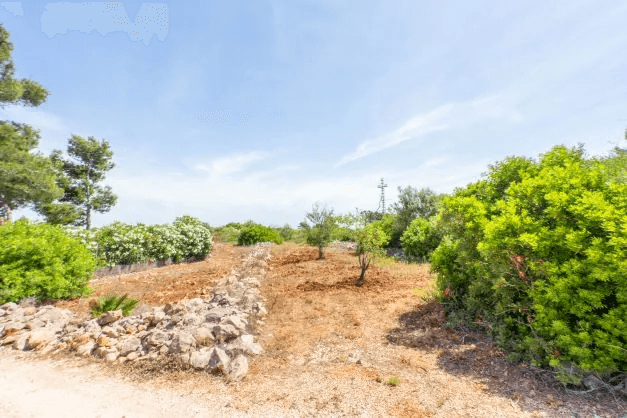 Land til salg i Javea