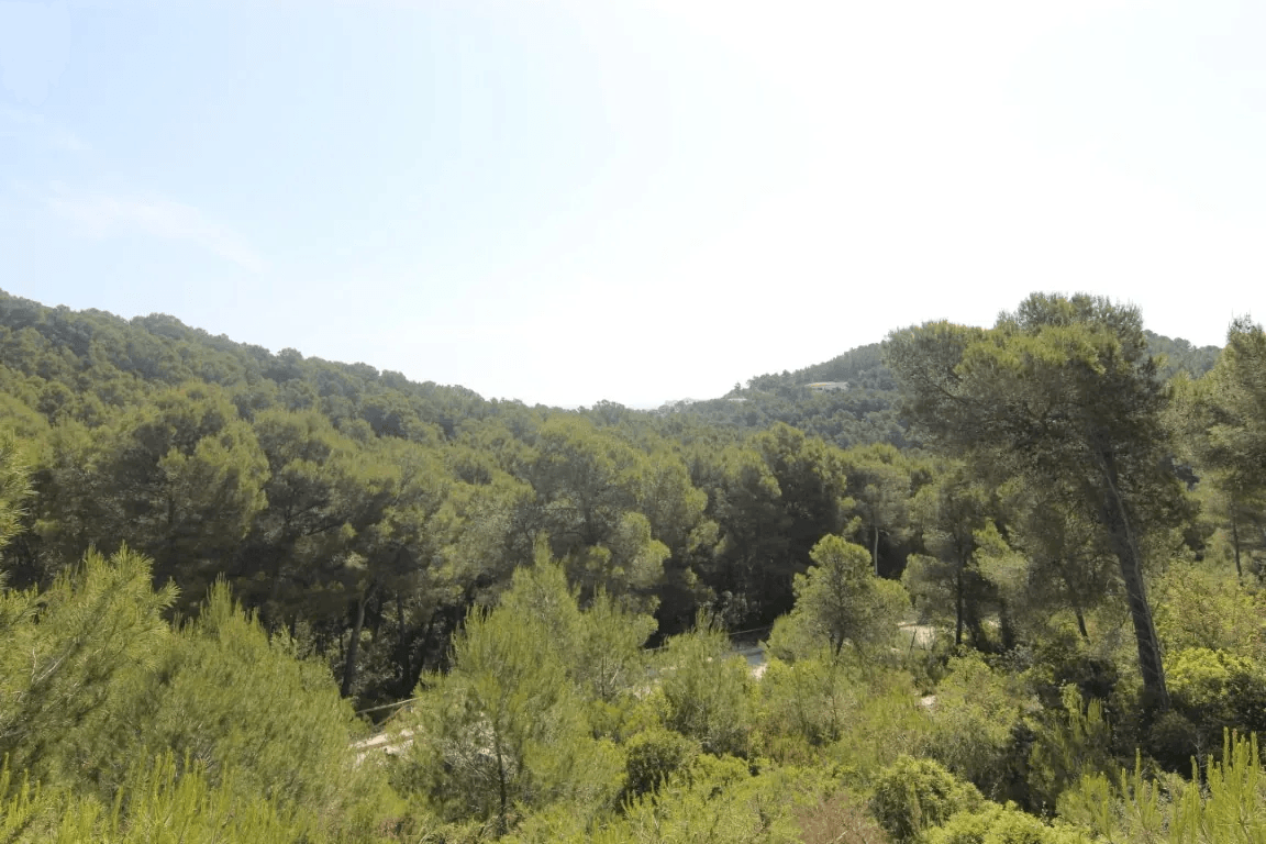 Land til salg i Javea