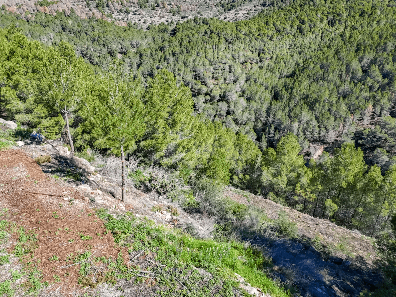 Land til salg i Altea