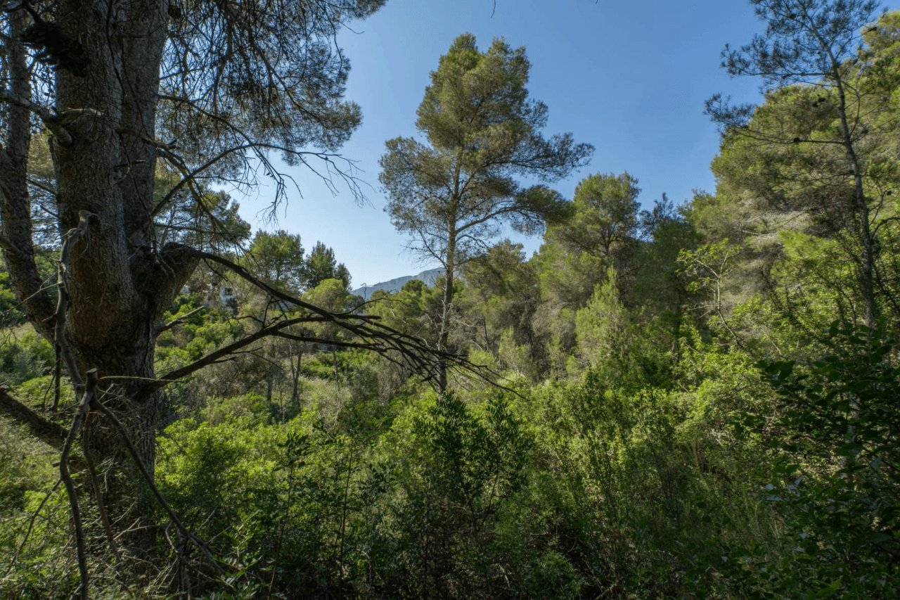 Land til salg i Javea