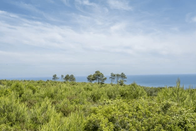Land til salg i Javea