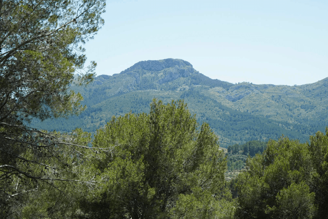 Villa for sale in Alcalali