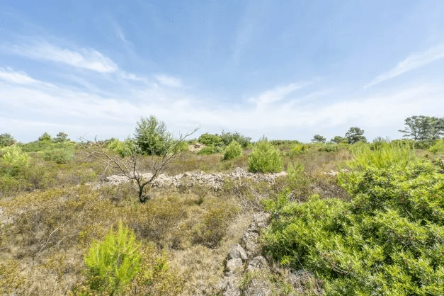 Land til salg i Javea