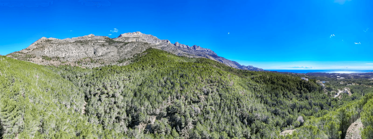 Land til salg i Altea