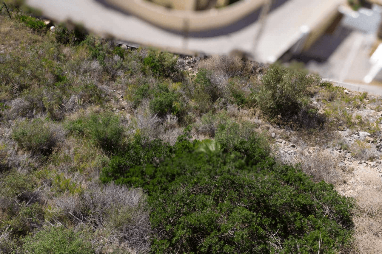 Land til salg i Moraira