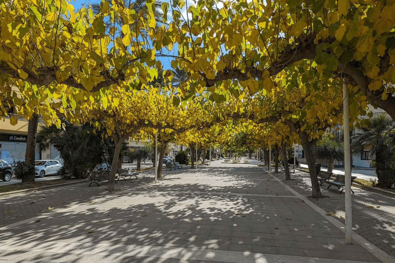 Land til salg i Moraira