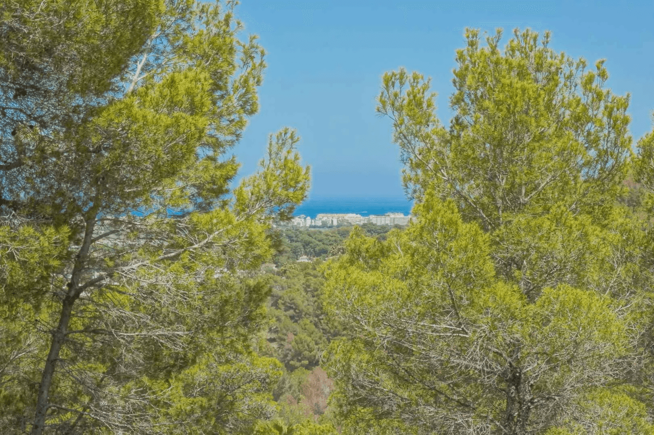 Land til salg i Javea