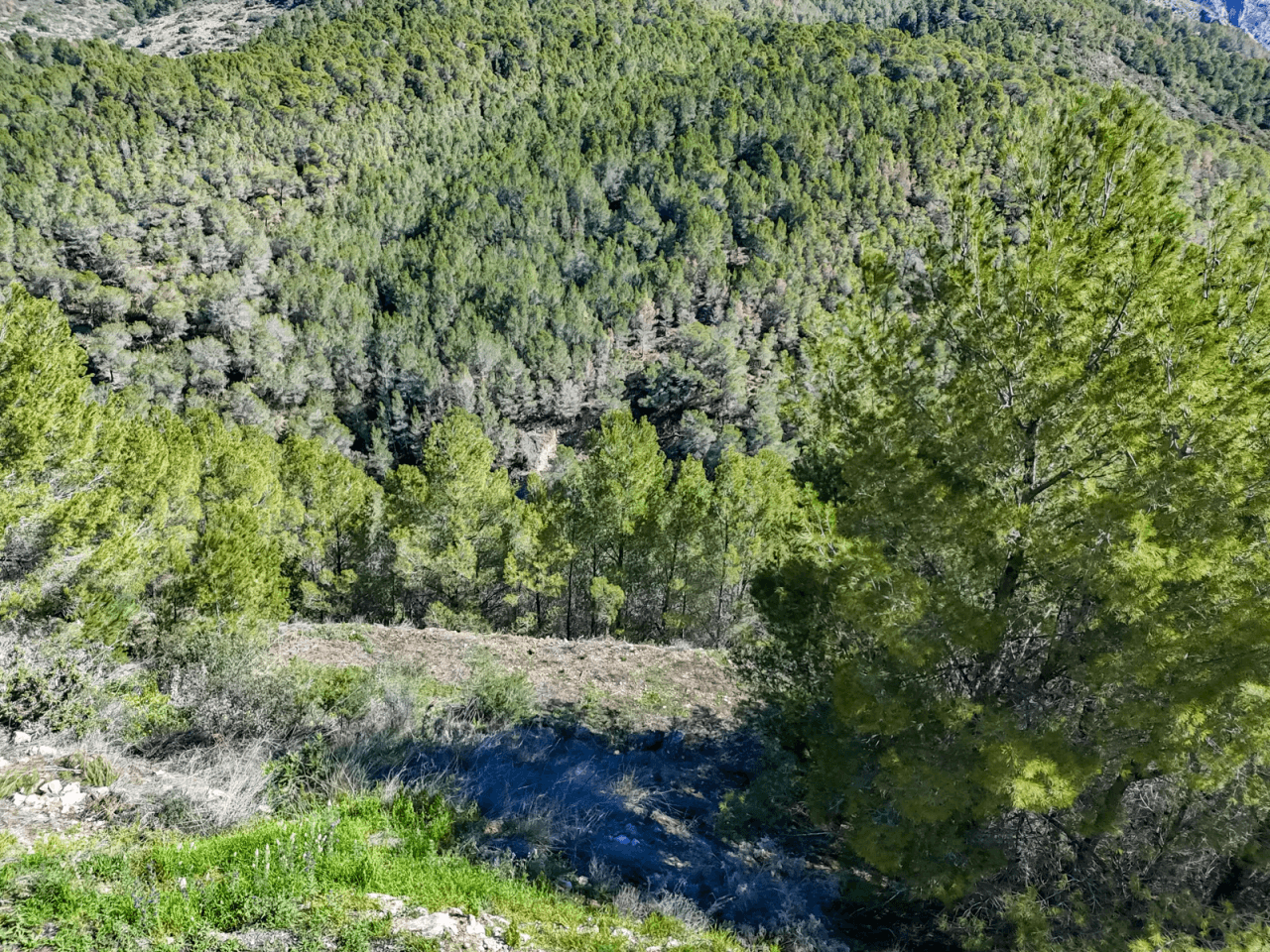 Land til salg i Altea