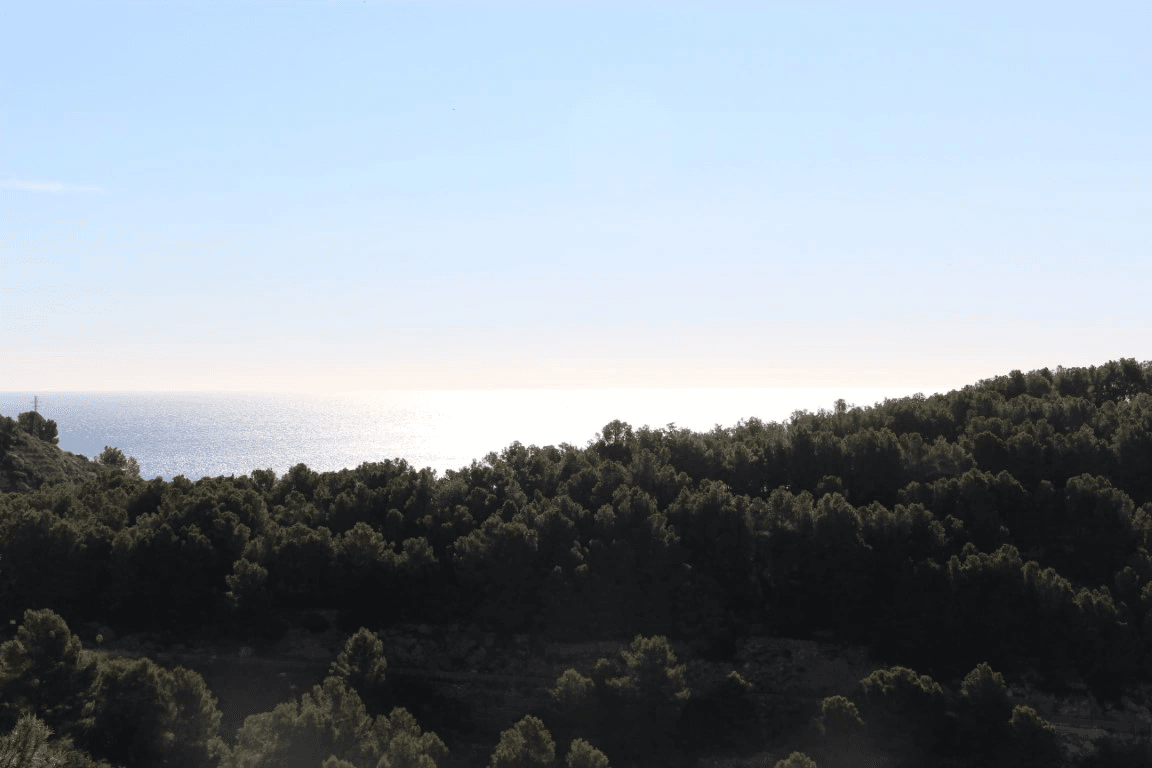 Land til salg i Javea