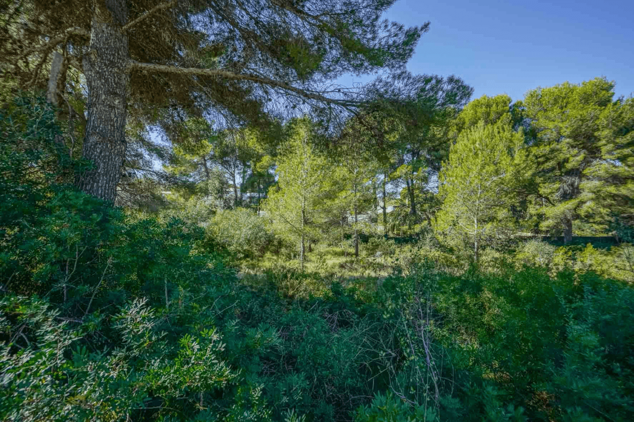 Land til salg i Javea