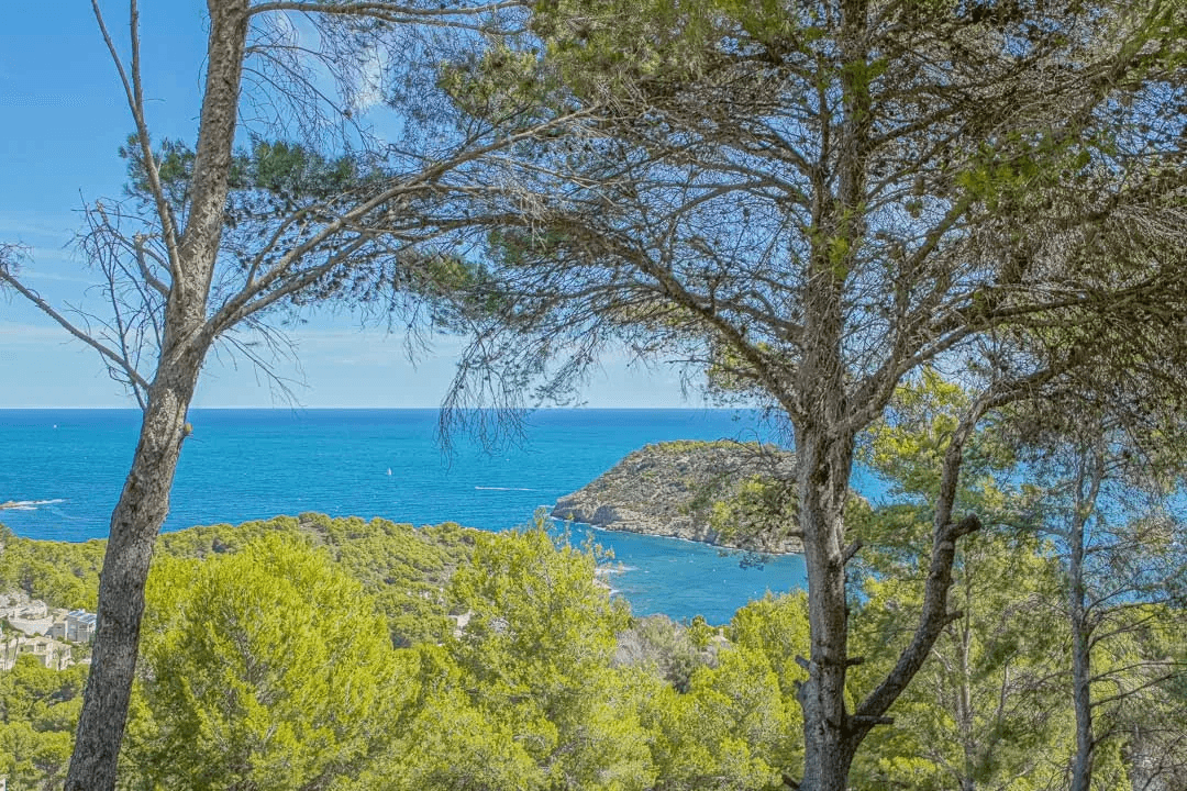Villa till försäljning i Javea