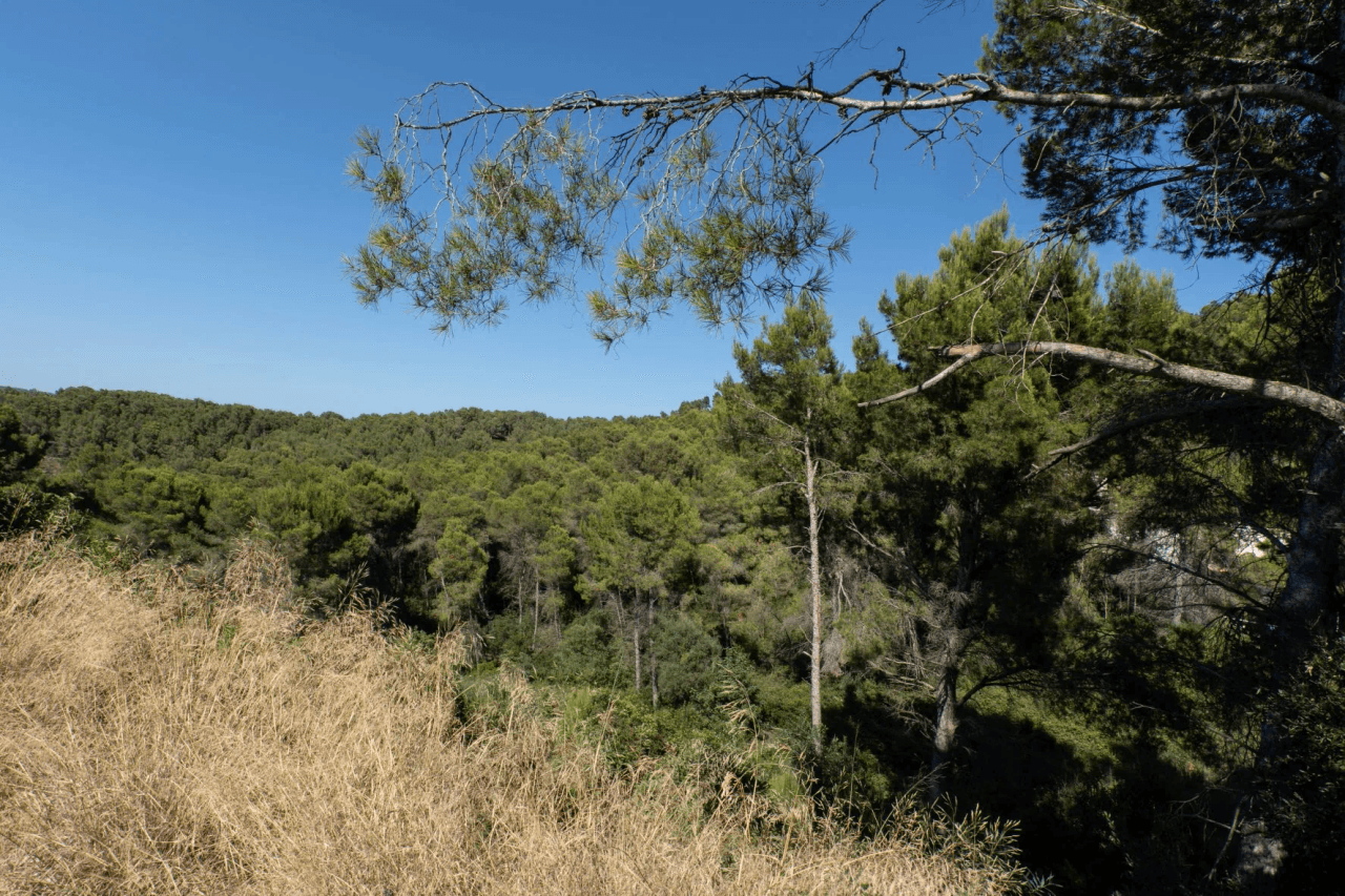 Land til salg i Javea