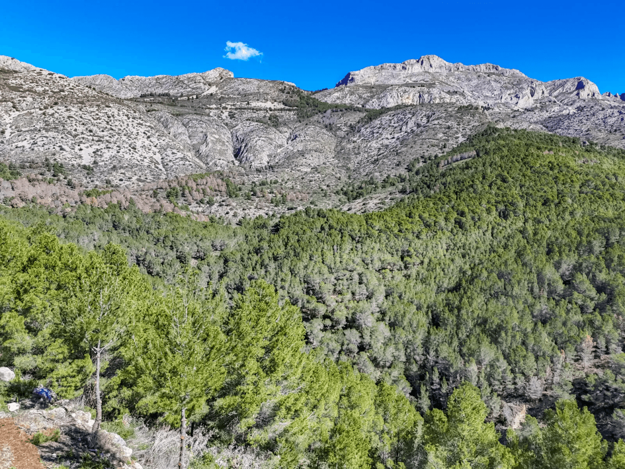 Land til salg i Altea