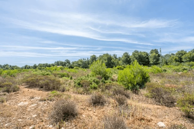 Land til salg i Javea