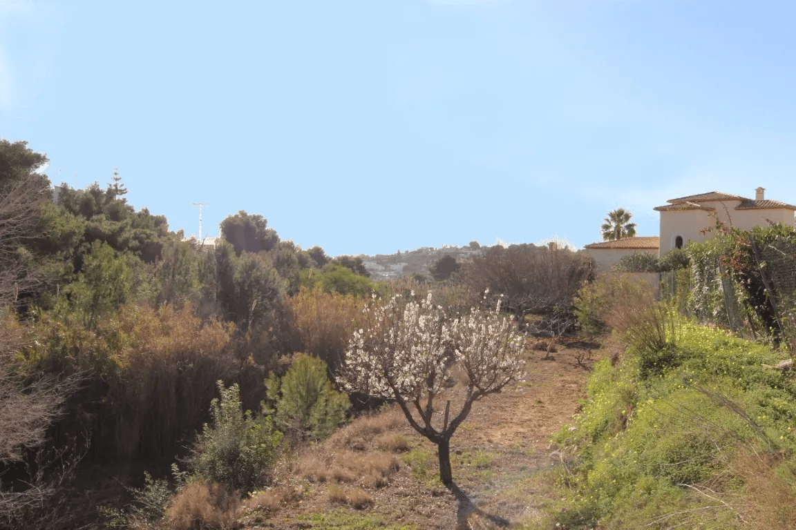Land til salg i Benissa