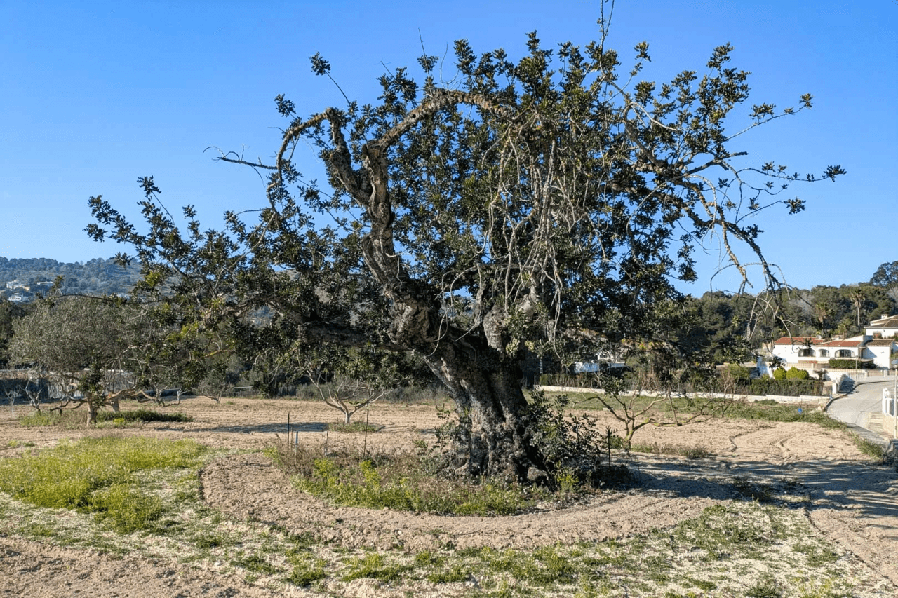 Villa til salg i Javea