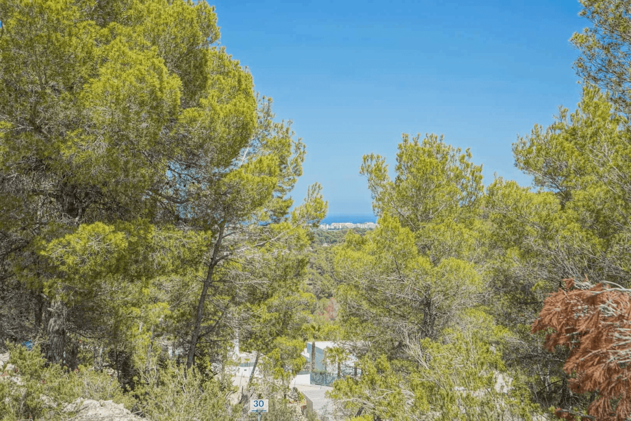 Land til salg i Javea