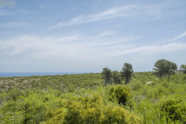 Land à la vente à Javea