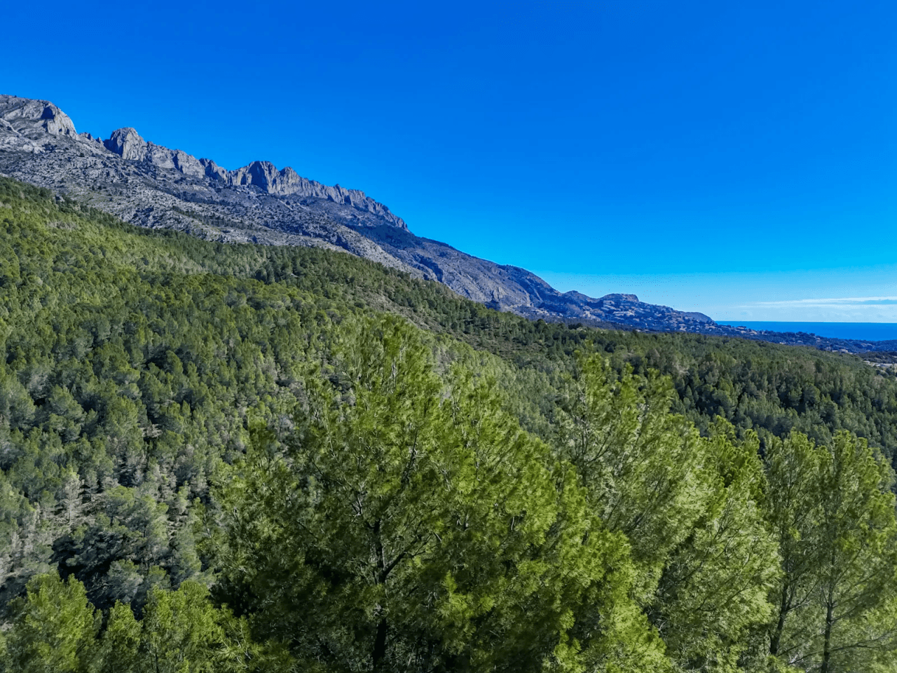 Land til salg i Altea