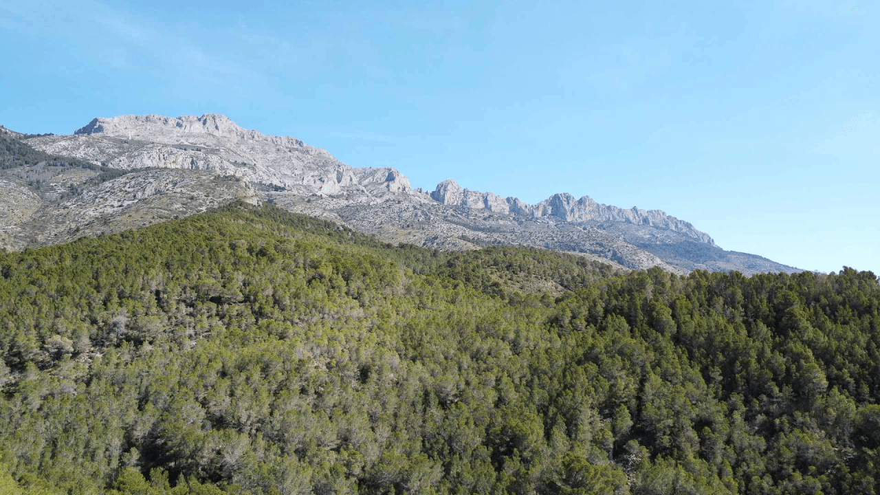 Villa til salg i Altea
