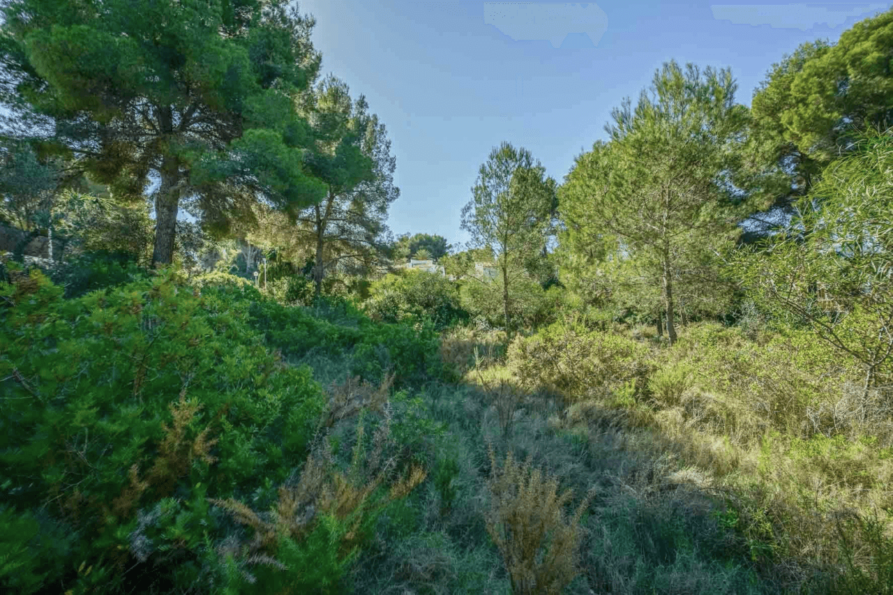 Terrain à la vente à Javea