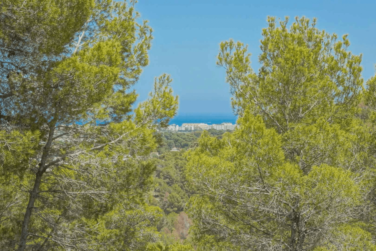 Terrain à la vente à Javea