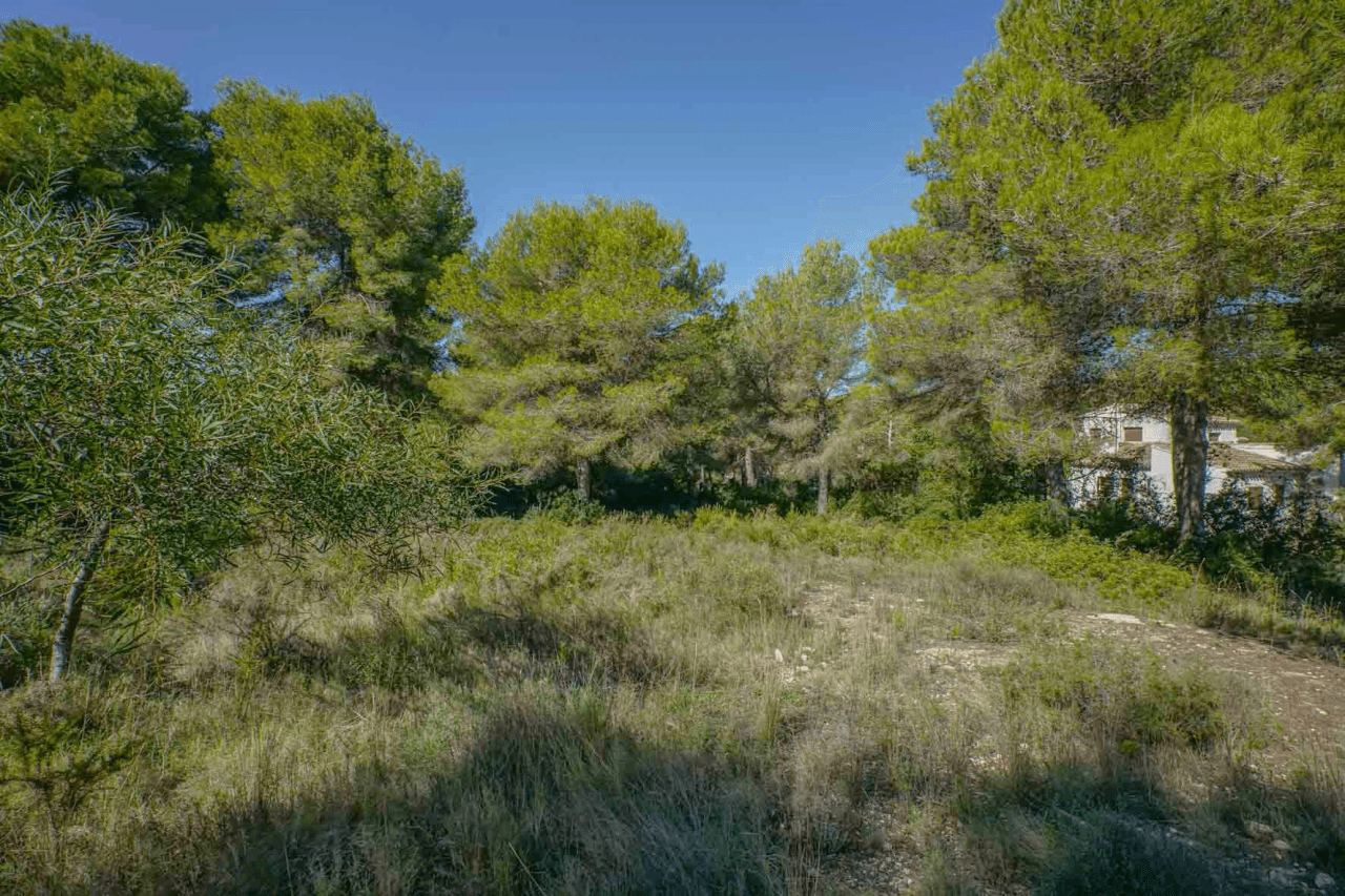 Terrain à la vente à Javea