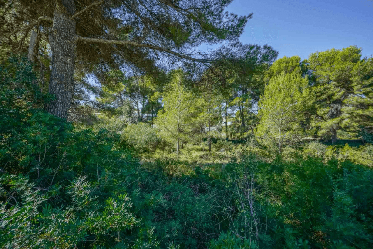 Terrain à la vente à Javea