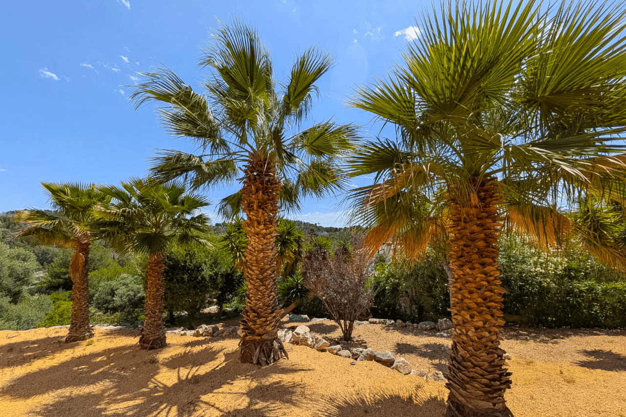 Villa à la vente à Javea