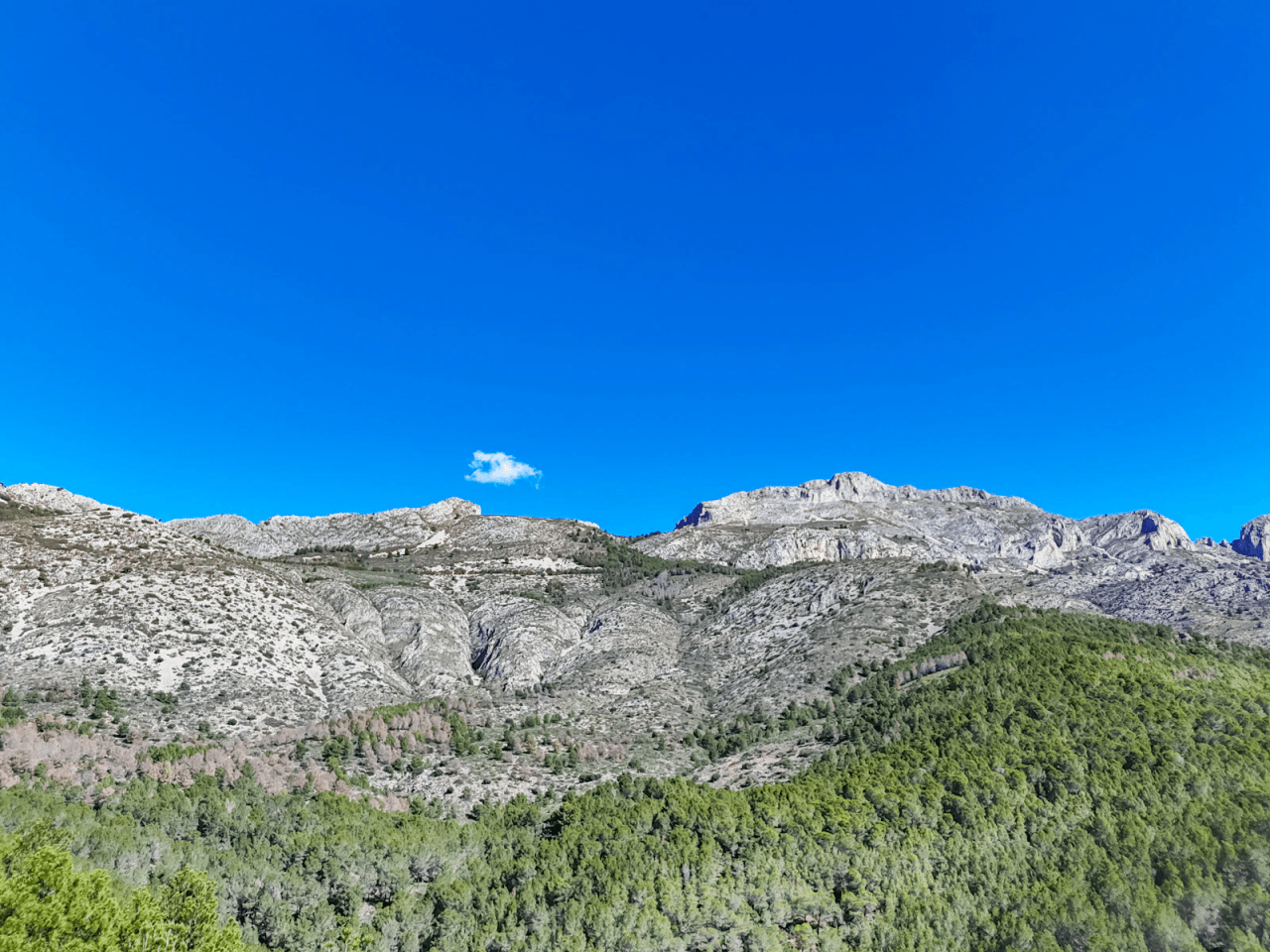 Plot for sale in Altea