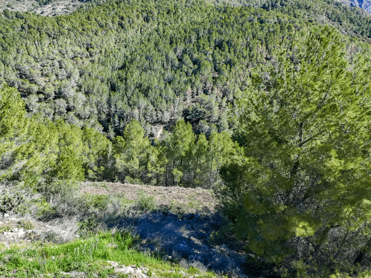 Plot for sale in Altea