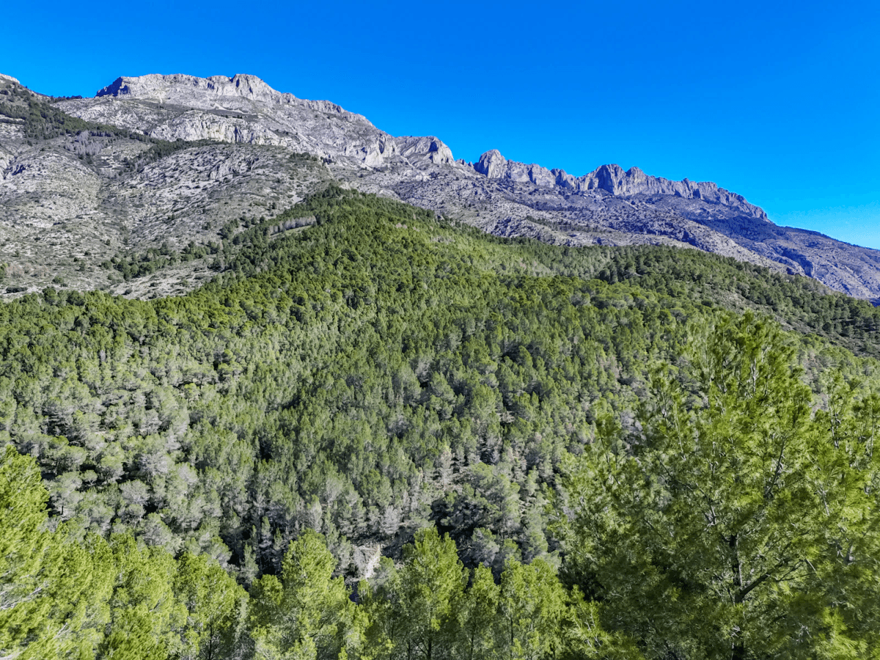 Plot for sale in Altea