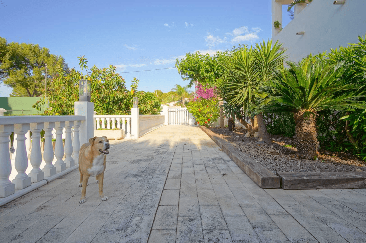 Villa til salg i Denia