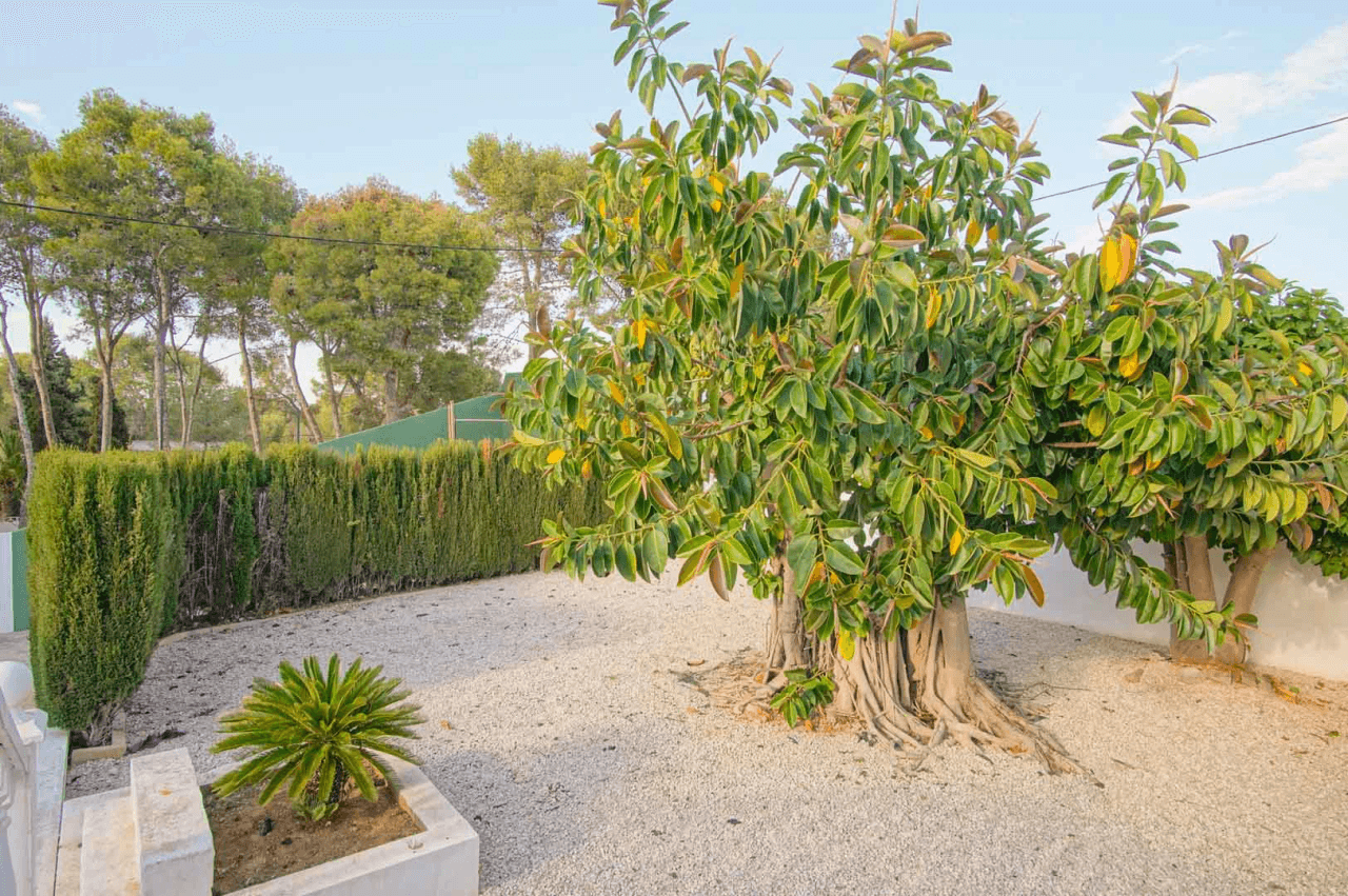 Villa til salg i Denia