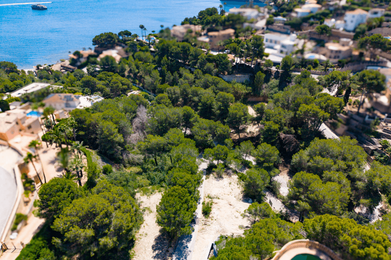 Terrain à la vente à Javea